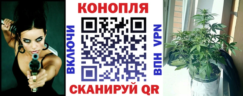 Купить  Богородицк  Бошки марихуана индика 